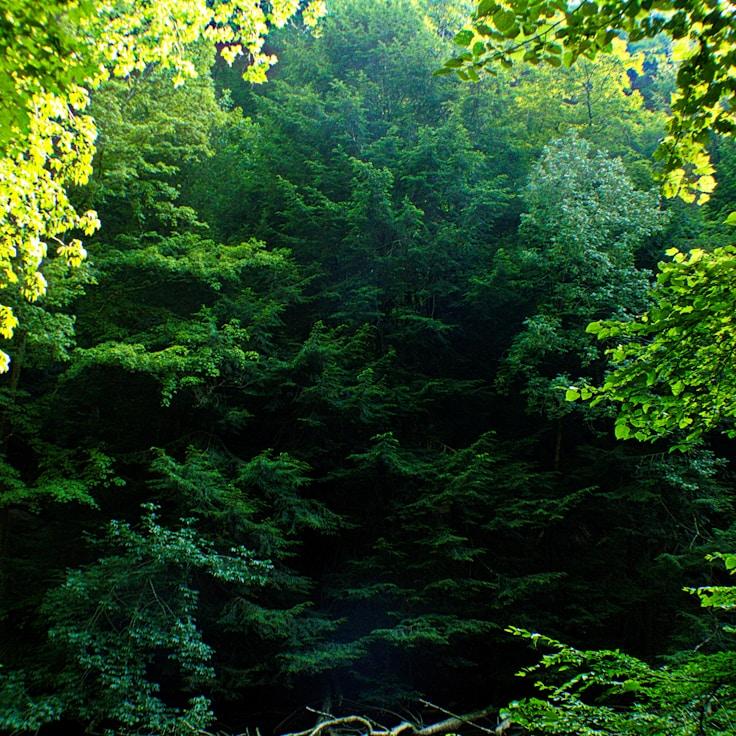 Low-impact nature route